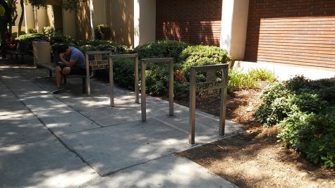 ASG Gets Green Light for Trustee Election