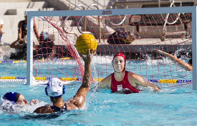 New water polo coach faces uphill battle