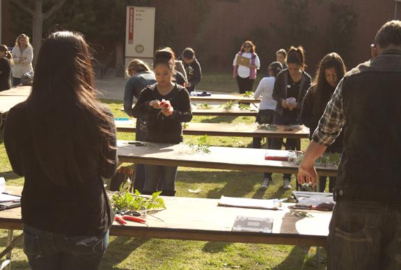 Photo by Taze Raney. During Fresno City Colleges Open House & Showcase, high school students participate in a Horticulture contest in which they have to try to make a corsage in 30 minutes or less, March 21.