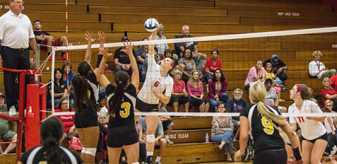 Volleyball’s head coach reaches 150th victory
