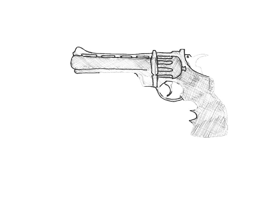 Gun