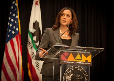 Why Kamala Harris Will Be a Great President For 2020