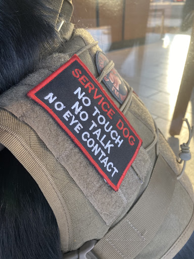 Eevee, a service dog, wears a vest warning not to touch, talk, or make eye contact. The vest is frequently ignored.