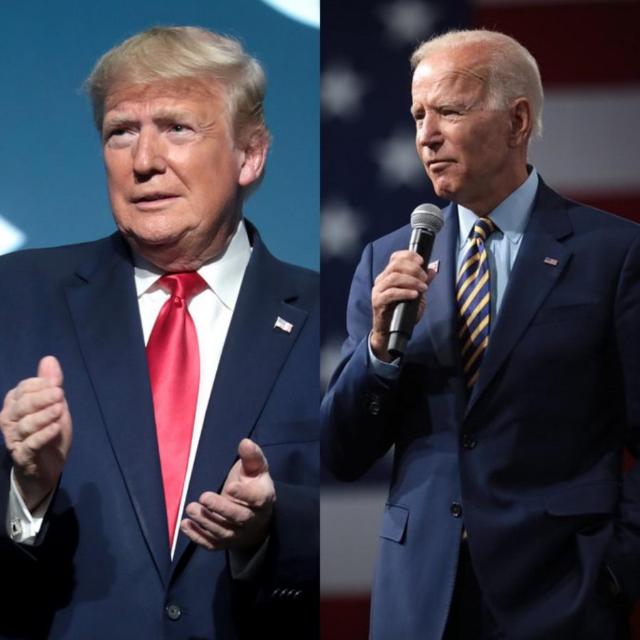 Donald Trump vs. Joe Biden Courtesy of Flickr