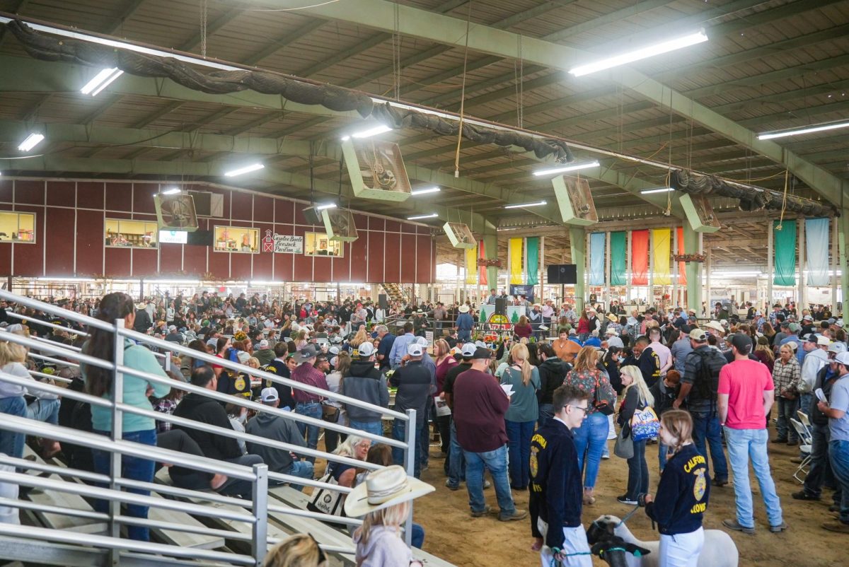 The Livestock Pavilion of Fresno Fair holds the Jr. Livestock Auction on Oct. 14, 2023.