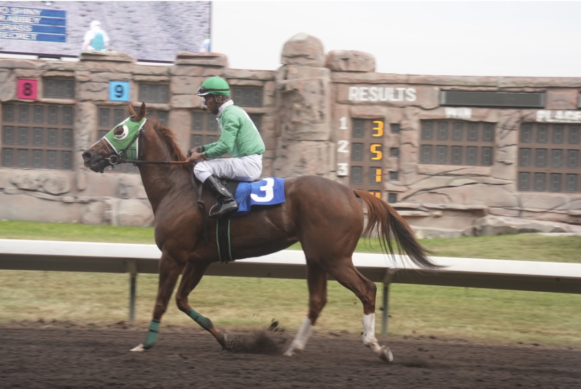 A jockey races his horse during the Big Fresno Fair live horse races on Oct, 8, 2023.