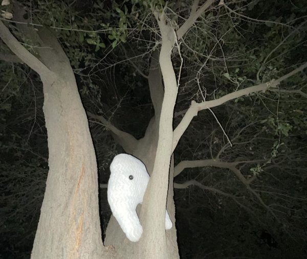 A staged photo of a Fresno Nightcrawler plush (Colin Robinson) in a tree on Oct. 23, 2023