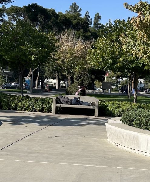 A student taking a nap on a stone bench outside of the library on Oct. 25, 2023. Students resort to sleeping on stone benches because they don’t have another spot to rest on campus.