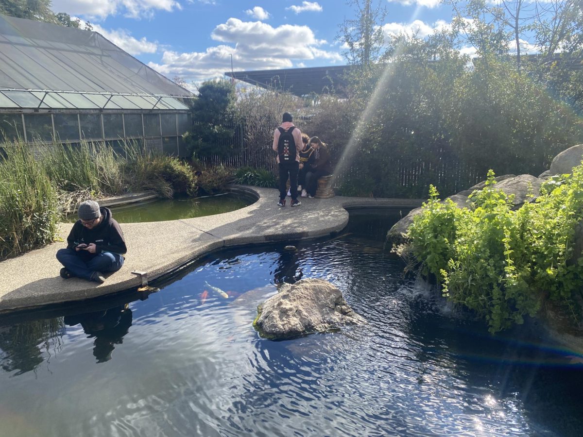 Students sit and socialize on the path that surrounds the Koi Fish pond on the bright morning of January 11, 2024.