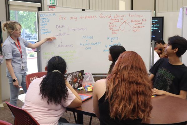 Lauren McQuay (Dance) leads a biology review session at the whiteboard, engaging classmates Grace Morrow (Art History), Ava Tafalla (Communications), David Ortiz (Chicano Studies), and Gigi Orozco Jimenez (Kinesiology) in a collaborative discussion on DNA transcription, cell division, and hormone function. 