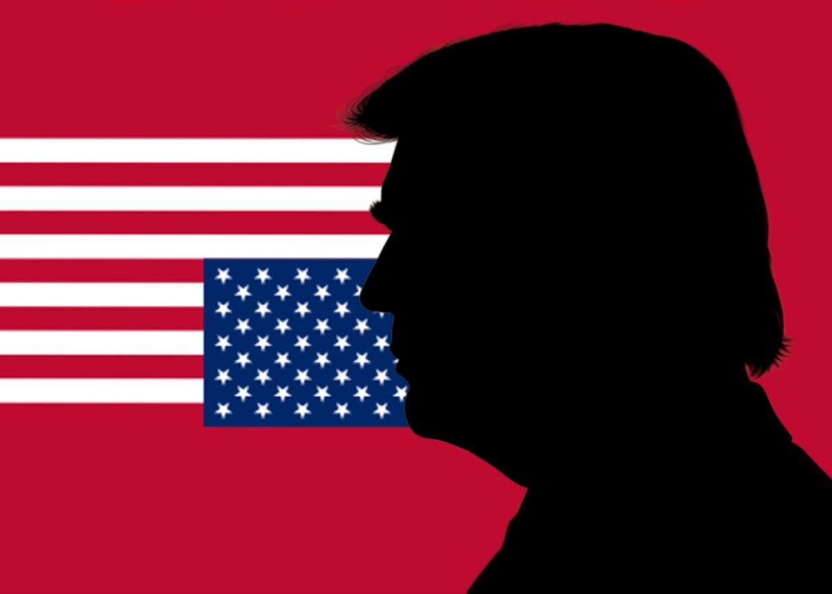 A graphic displaying Donald Trump's side profile which sits side by side with an upside-down American flag. 