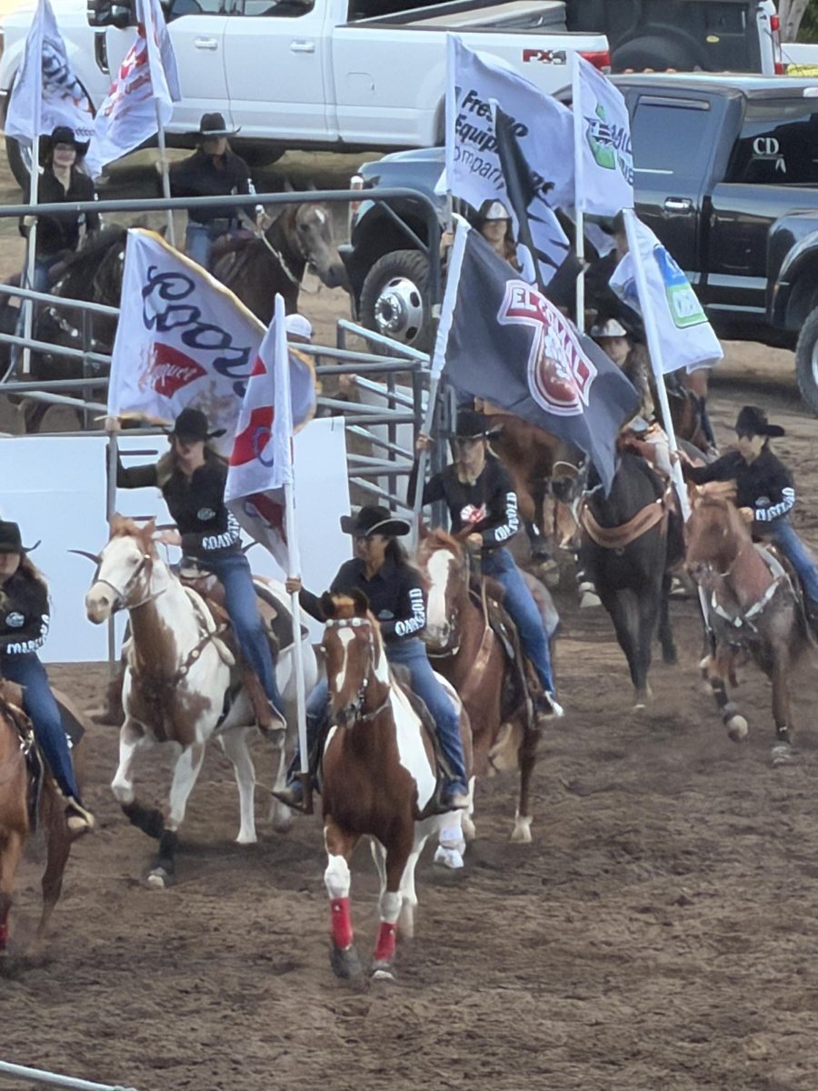 Riders on horseback gallop onto the track during the brand new rodeo that has replaced the live horse racing at The Big Fresno Fair on Oct. 3.